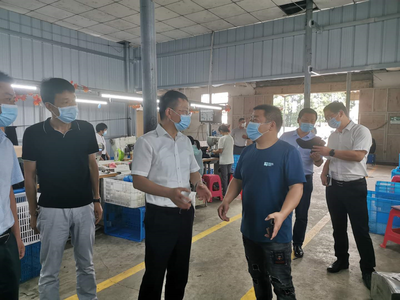 王建華在浮屠調研脫貧攻堅、鄉村振興和巡視反饋問題整改工作